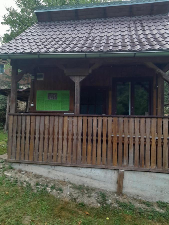 Pensiunea Simina Вишеу де Жос Екстериор снимка